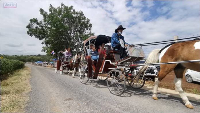 ไร่จงสมจิตต์ฟาร์ม ปลูกทานตะวันกว่า100ไร่ เปิดให้เที่ยวชมฟรี