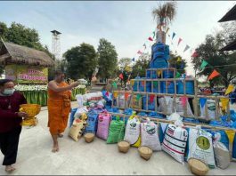 สืบสานประเพณี "ผ้าป่าข้าวฝ่อน ข้าวเปลือก" ณ วัดหนองกระทุ่ม-หนองถ่ม