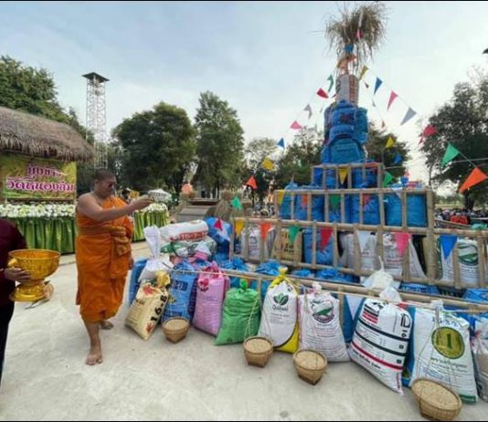 สืบสานประเพณี "ผ้าป่าข้าวฝ่อน ข้าวเปลือก" ณ วัดหนองกระทุ่ม-หนองถ่ม