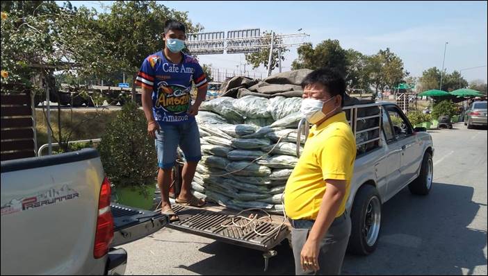 ผักคะน้าปั่นสุข ธารน้ำใจหลั่งไหลช่วยเกษตรคะน้าราคาตกต่ำ ด่านช้าง สุพรรณบุรี